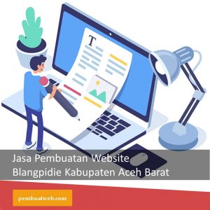 Jasa Pembuatan Website Blangpidie Kabupaten Aceh Barat